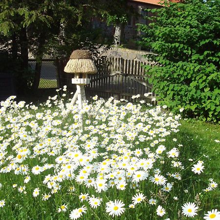 Ferienwohnung Vogel Mustin  ภายนอก รูปภาพ