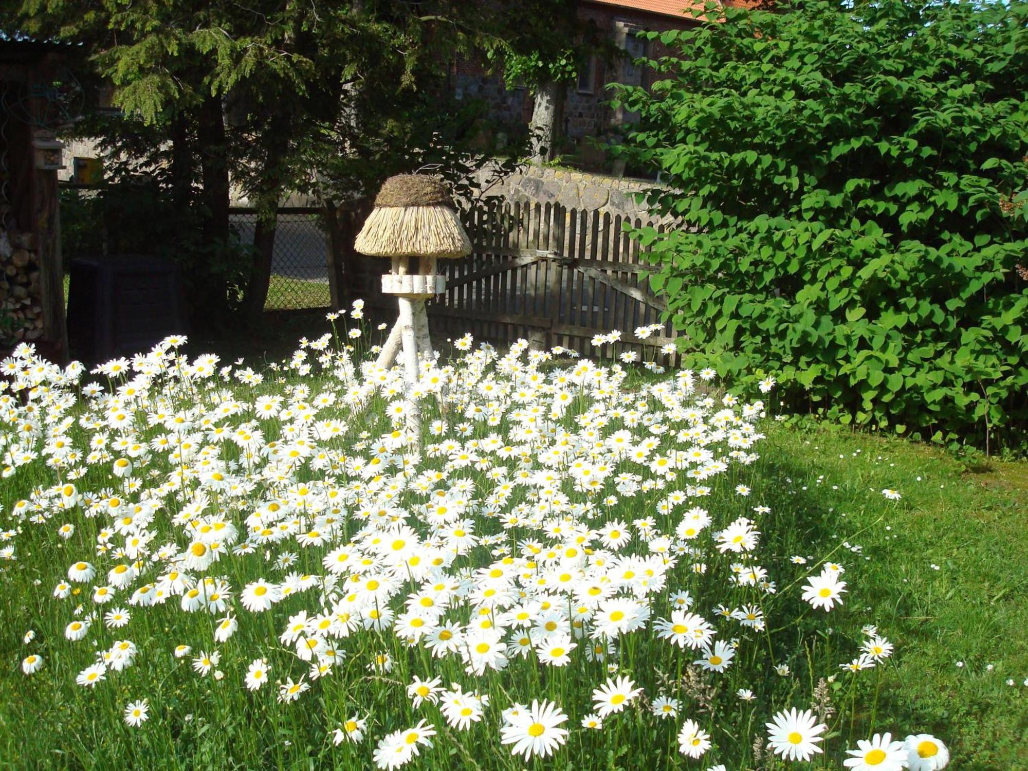 Ferienwohnung Vogel Mustin  ภายนอก รูปภาพ